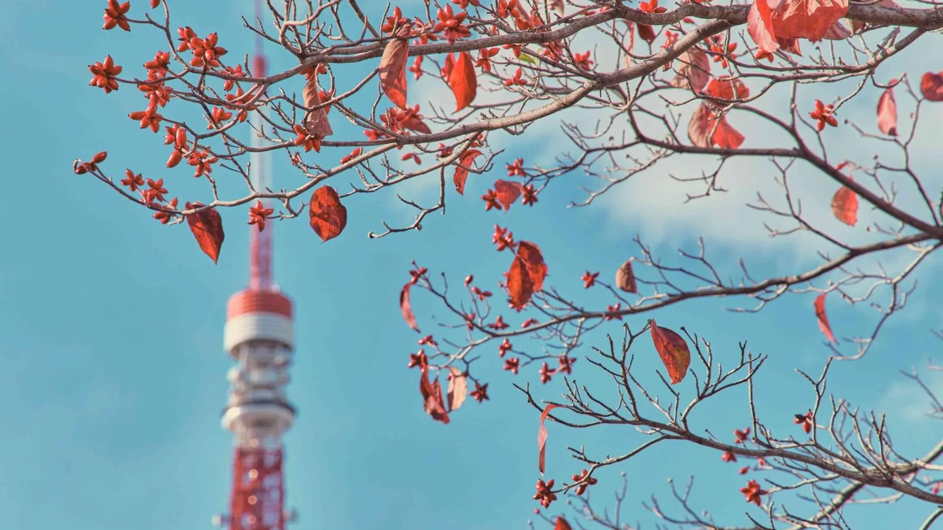 Shiba Park Hotel Tokyo